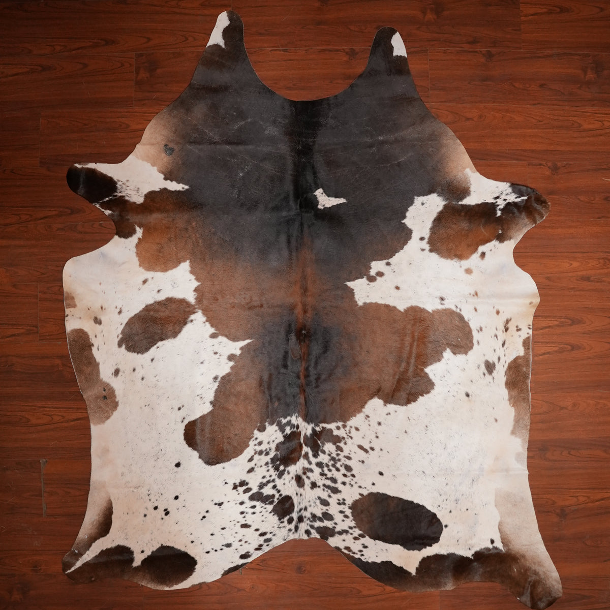 Dark-Centred Splash Tri-colour cow hide rug, 241 x 208 cm, genuine cowhide