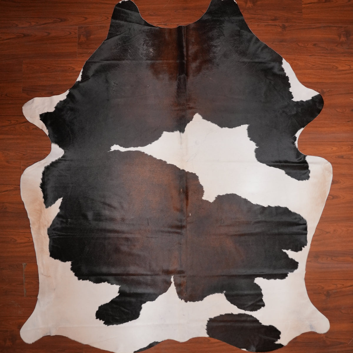 High-Contrast Tri-colour cow hide rug, 257 x 220 cm, genuine cowhide