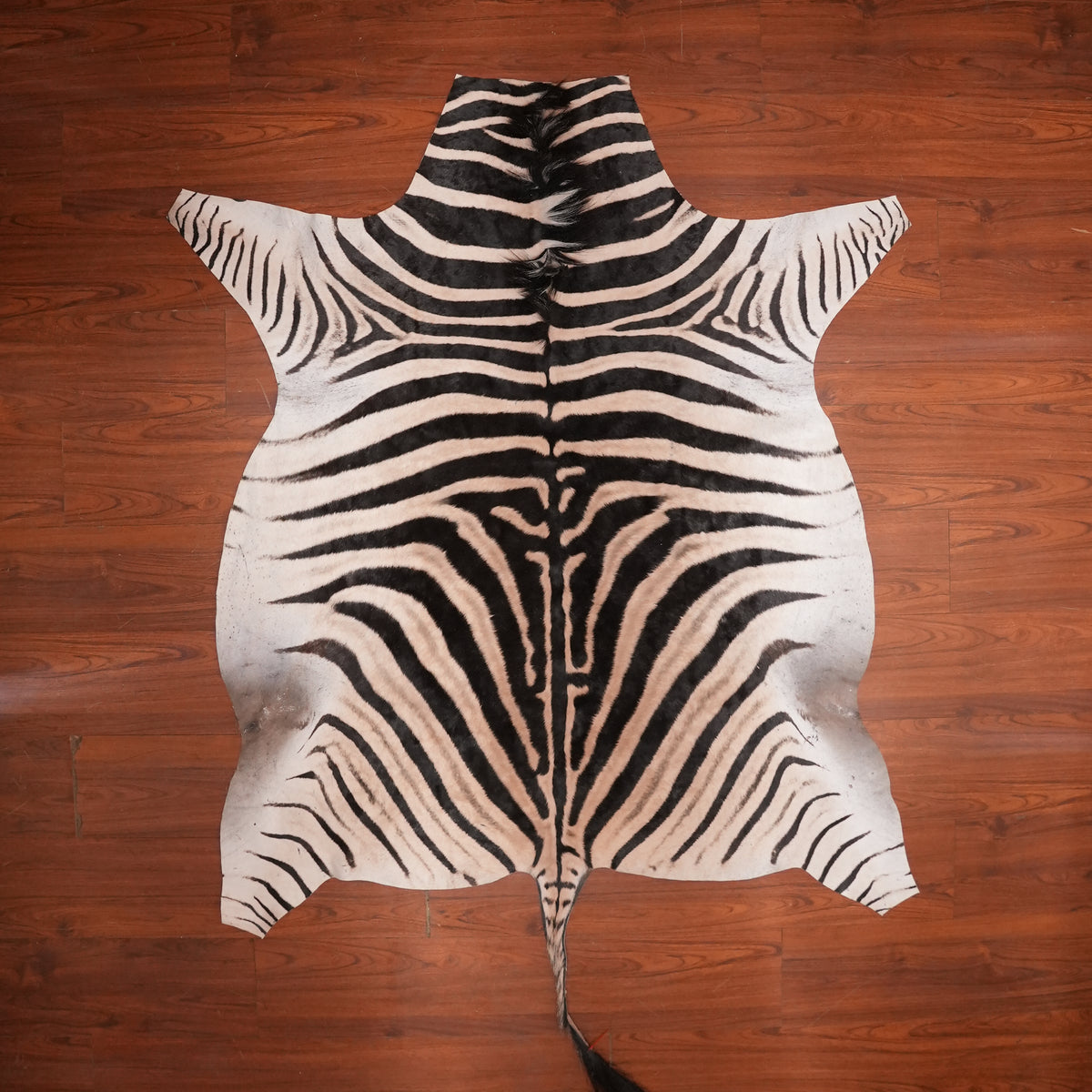 Bold-Striped zebra hide rug, 205 x 161 cm, genuine zebra skin