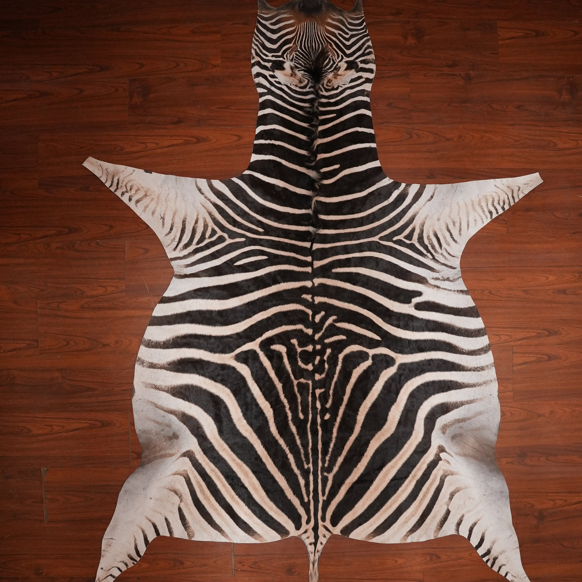 Bold Symmetrical zebra hide rug, 270 x 192 cm, genuine zebra skin
