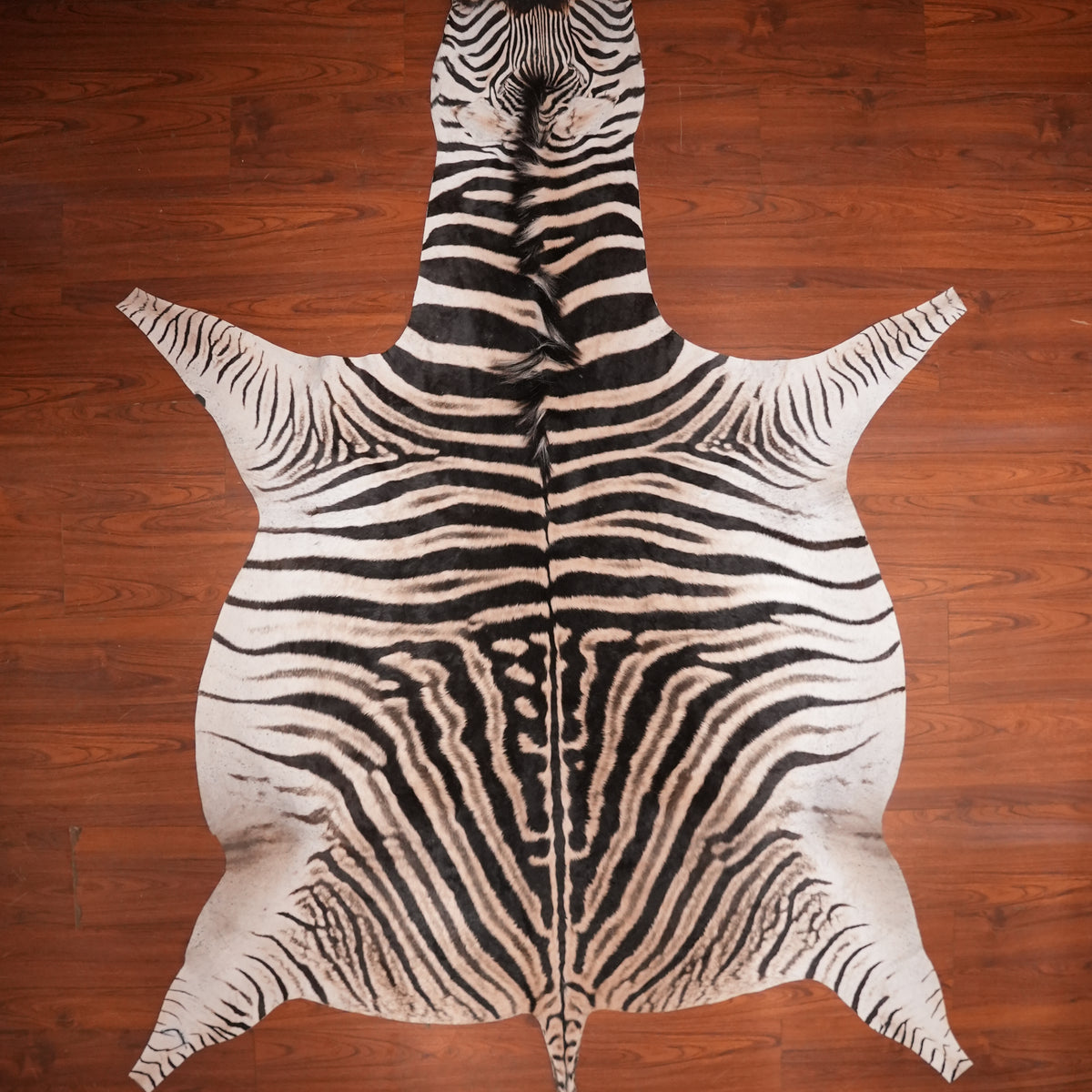 High-Contrast zebra hide rug, 278 x 197 cm, genuine zebra skin