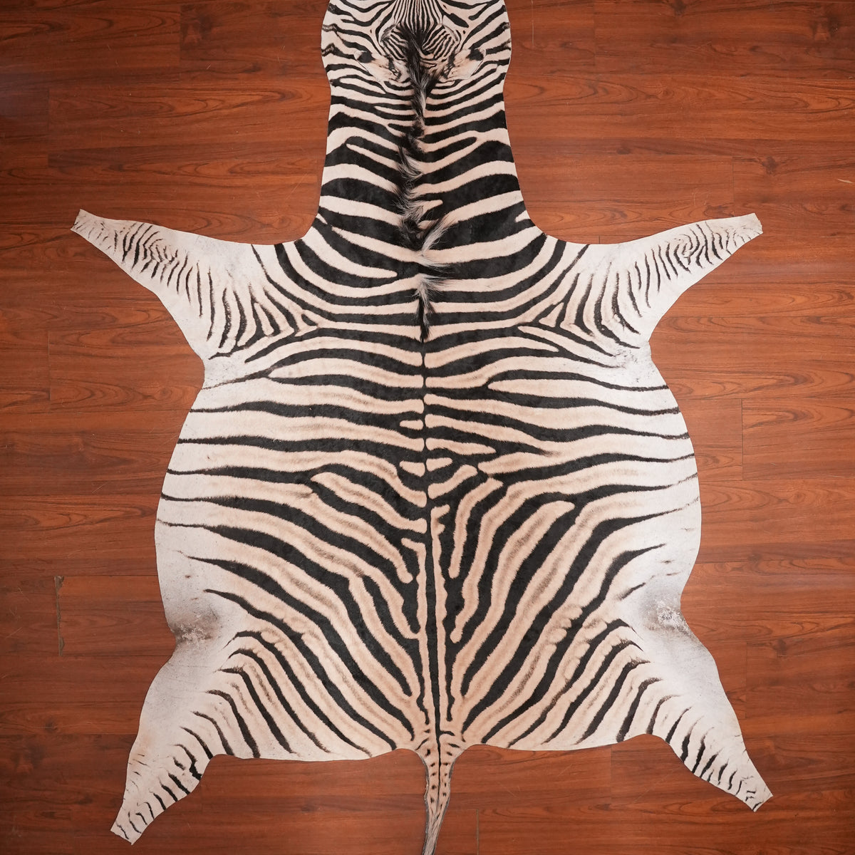 Bold-Striped zebra hide rug, 278 x 199 cm, genuine zebra skin