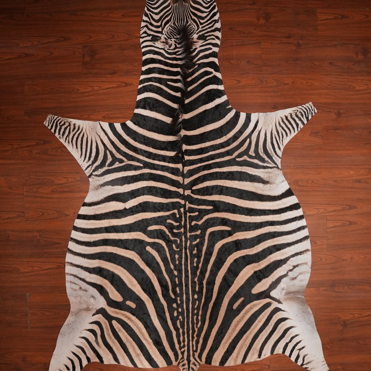 High-Contrast zebra hide rug, 286 x 184 cm, genuine zebra skin