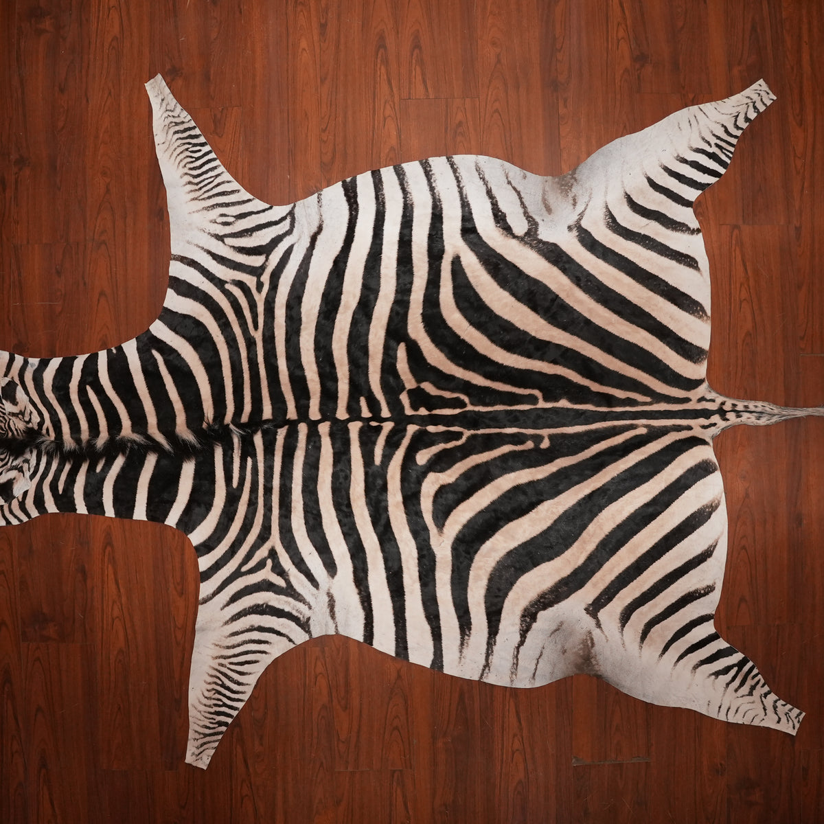 Bold-Striped zebra hide rug, 290 x 202 cm, genuine zebra skin