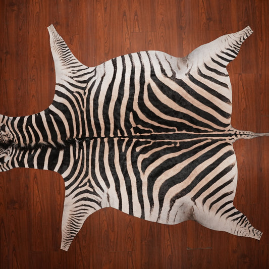 Bold-Striped zebra hide rug, 290 x 202 cm, genuine zebra skin