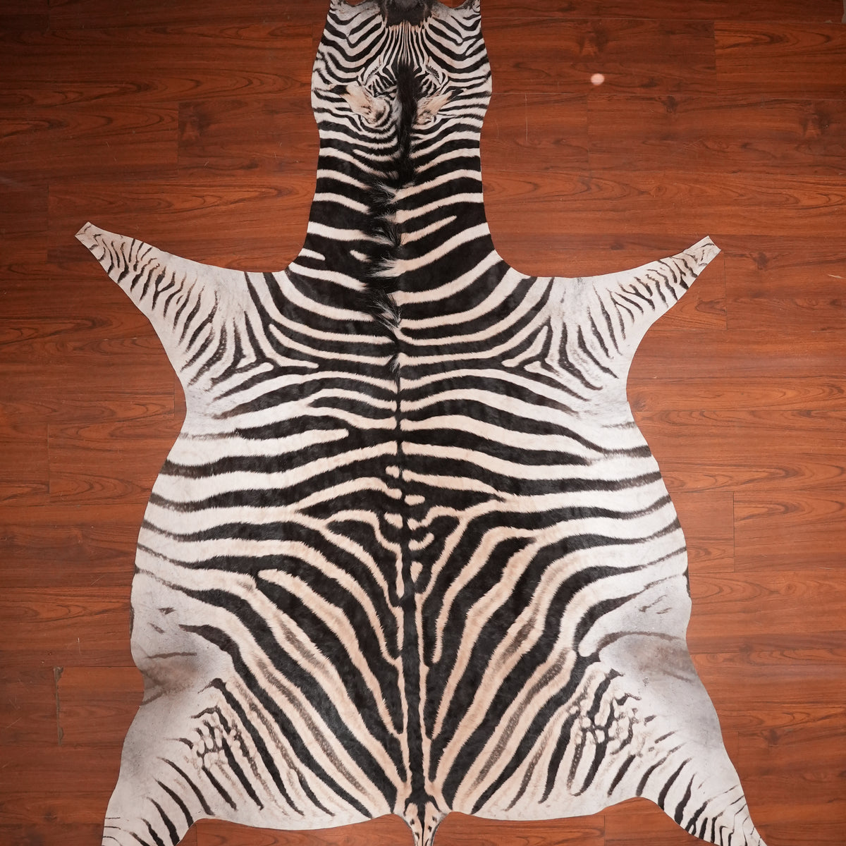 Shadow-Striped zebra hide rug, 291 x 208 cm, genuine zebra skin