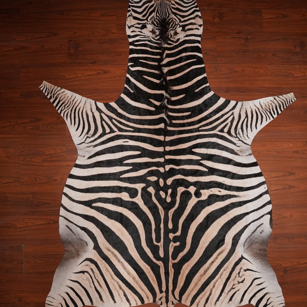 High-Contrast zebra hide rug, 301 x 204 cm, genuine zebra skin