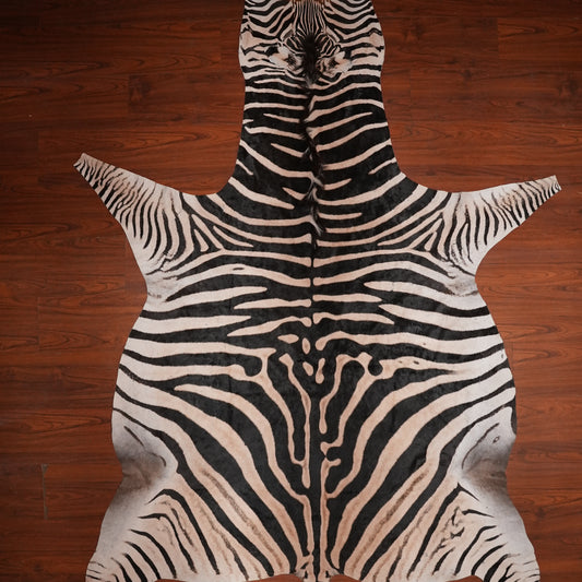 High-Contrast zebra hide rug, 301 x 204 cm, genuine zebra skin