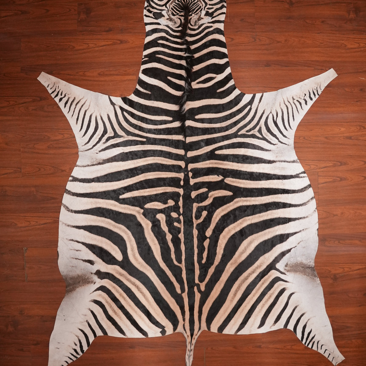 Bold-Striped zebra hide rug, 308 x 215 cm, genuine zebra skin