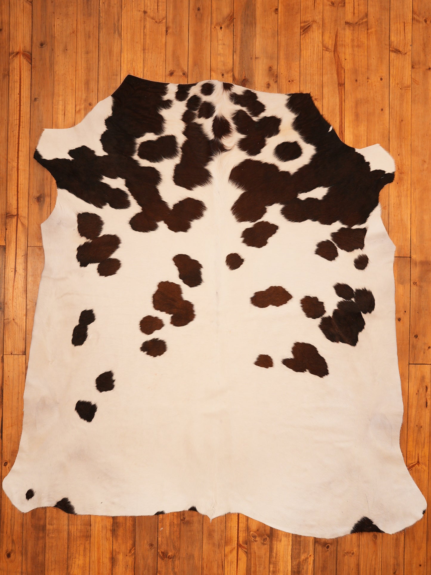 AS Grade Nguni Hide 995 (Tricolour)