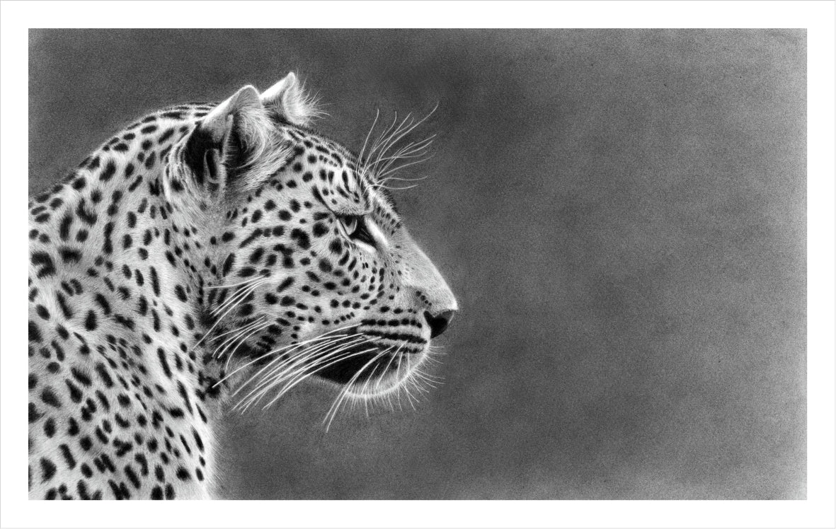 captivated-vincent-reid-limited-print-by-the-nguni-guy